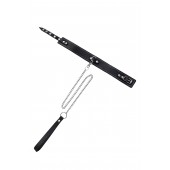 Кожаный двухслойный ошейник с белой строчкой и поводком - Pecado - купить с доставкой в Новосибирске