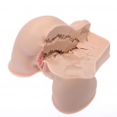 Мастурбатор-полуторс Naked Factory Kate - Naked Factory - в Новосибирске купить с доставкой