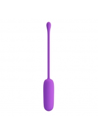 Фиолетовое перезаряжаемое виброяйцо Joyce - Baile