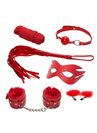 Эротический набор БДСМ из 6 предметов в красном цвете - Rubber Tech Ltd - купить с доставкой в Новосибирске