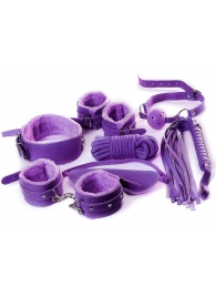 Фиолетовый набор БДСМ «Накажи меня нежно» с карточками - Штучки-дрючки - купить с доставкой в Новосибирске