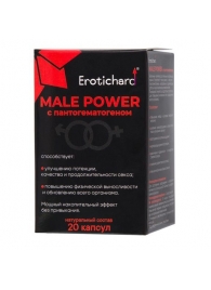 Капсулы для мужчин Erotichard male power с пантогематогеном - 20 капсул (0,370 гр.) - Erotic Hard - купить с доставкой в Новосибирске