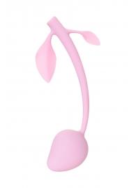 Розовый вагинальный шарик Aster - Eromantica