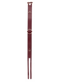 Бордовый ремень Halo Waist Belt - размер L-XL - Shots Media BV - купить с доставкой в Новосибирске