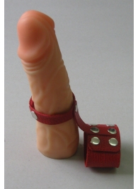 Красный кожаный поводок на пенис с кнопками - Sitabella - купить с доставкой в Новосибирске