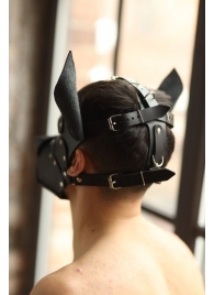 Эффектная маска собаки с металлическими заклепками - БДСМ Арсенал - купить с доставкой в Новосибирске