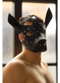 Эффектная маска собаки с металлическими заклепками - БДСМ Арсенал - купить с доставкой в Новосибирске