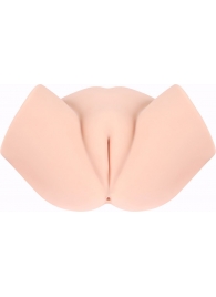 Мастурбатор-полуторс с вагиной и анусом Samanda - KOKOS - #SOTBIT_REGIONS_UF_V_REGION_NAME# купить с доставкой