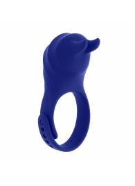 Синее эрекционное виброкольцо с клиторальной подушечкой и пультом ДУ Adjustable Fun Ring - Zero Tolerance - в Новосибирске купить с доставкой