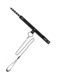 Черный узкий однослойный ошейник с серебристым поводком-цепочкой - Pecado - купить с доставкой в Новосибирске