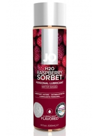 Лубрикант на водной основе с ароматом малины JO Flavored Raspberry Sorbet - 120 мл. - System JO - купить с доставкой в Новосибирске
