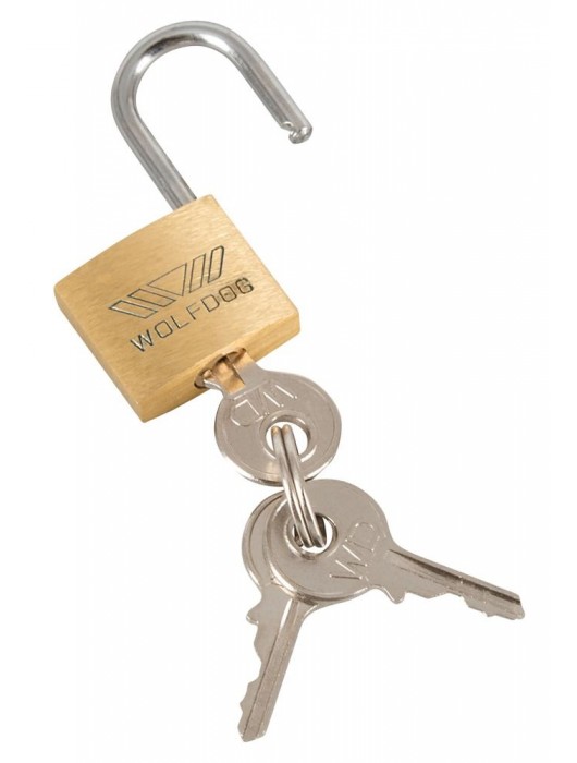 Набор для мужского пояса верности Cock Cage Set - Orion - купить с доставкой в Новосибирске