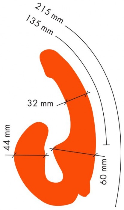 Оранжевый анатомический страпон с вибрацией - Главсексмаг - купить с доставкой в Новосибирске