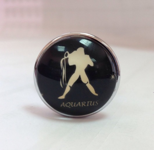 Серебристая анальная пробка со знаком зодиака - Водолей - Главсексмаг - купить с доставкой в Новосибирске