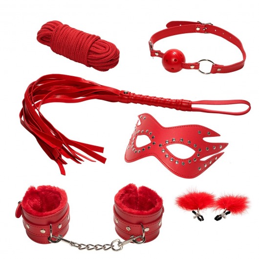 Эротический набор БДСМ из 6 предметов в красном цвете - Rubber Tech Ltd - купить с доставкой в Новосибирске