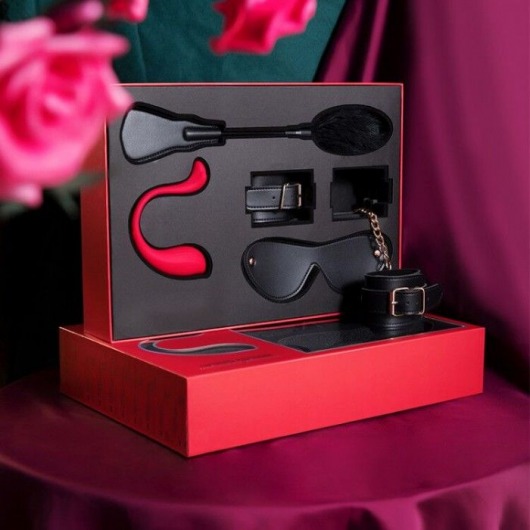 Эротический подарочный набор LIMITED EDITION BDSM GIFT BOX - Svakom - купить с доставкой в Новосибирске