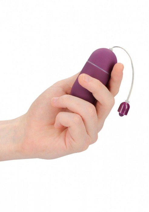 Фиолетовое гладкое виброяйцо Vibrating Egg - 8 см. - Shots Media BV