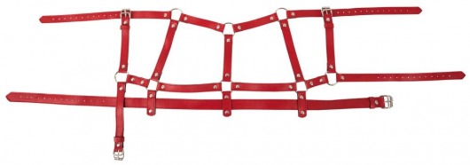 Красный комплект БДСМ-аксессуаров Harness Set - Orion - купить с доставкой в Новосибирске