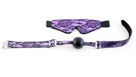 Кружевной набор пурпурного цвета: маска и кляп - ToyFa - купить с доставкой в Новосибирске