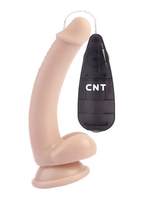 Телесный вибратор-реалистик Touch Me Dildo - 19,5 см. - CNT