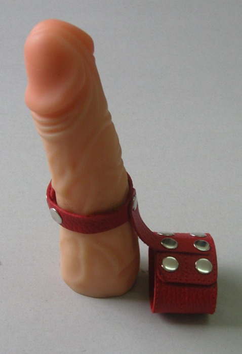 Красный кожаный поводок на пенис с кнопками - Sitabella - купить с доставкой в Новосибирске