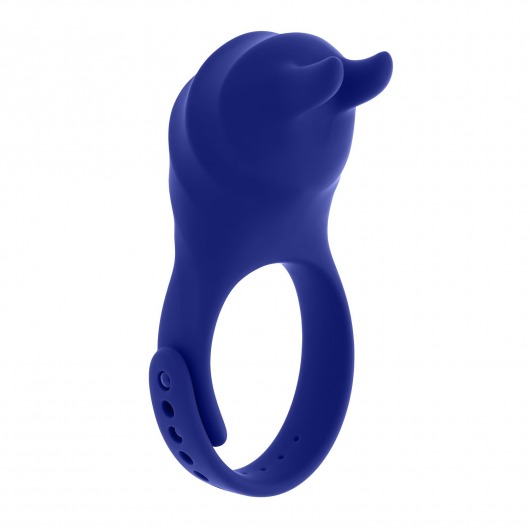 Синее эрекционное виброкольцо с клиторальной подушечкой и пультом ДУ Adjustable Fun Ring - Zero Tolerance - в Новосибирске купить с доставкой
