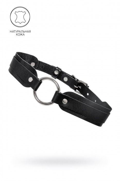 Черный кожаный чокер-ошейник со скруглёнными углами - Pecado - купить с доставкой в Новосибирске