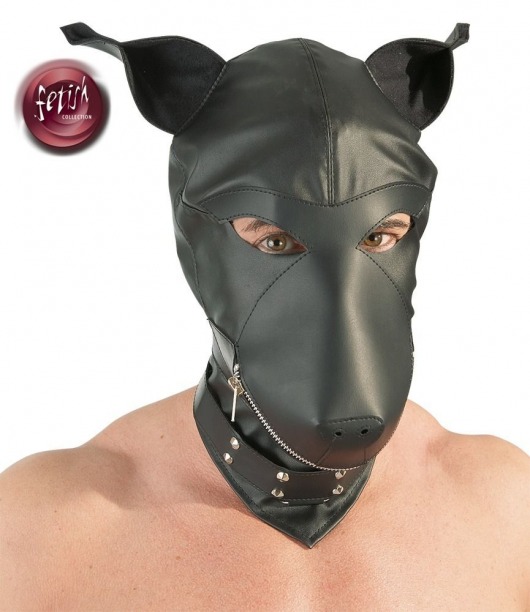 Шлем-маска Dog Mask в виде морды собаки - Orion - купить с доставкой в Новосибирске