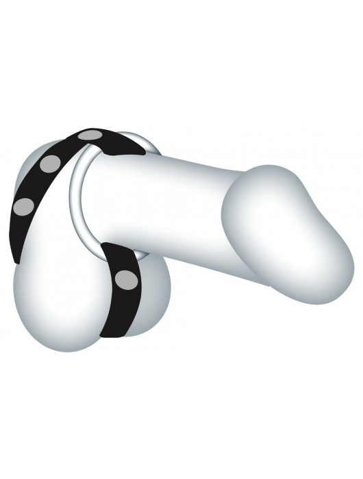 Подхват для мошонки с 3 съемными эрекционными кольцами Leder-Riemen - Orion - в Новосибирске купить с доставкой