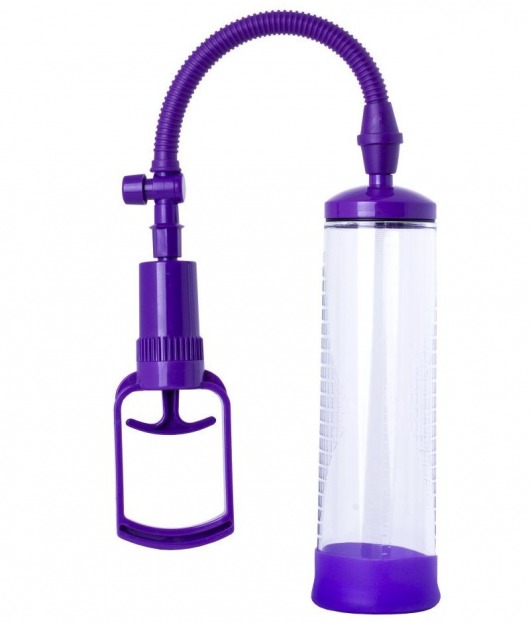 Фиолетовая вакуумная помпа с прозрачной колбой - Sexus - в Новосибирске купить с доставкой