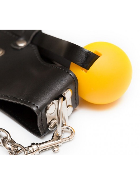 Кляп-шарик с поводком - Пикантные штучки - купить с доставкой в Новосибирске