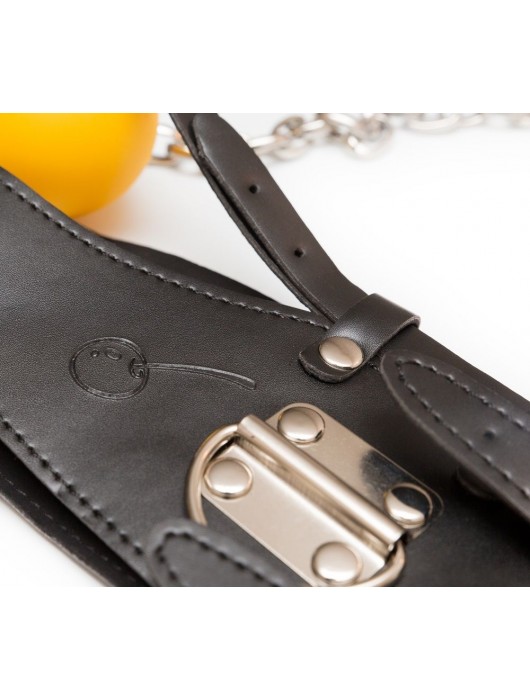 Кляп-шарик с поводком - Пикантные штучки - купить с доставкой в Новосибирске