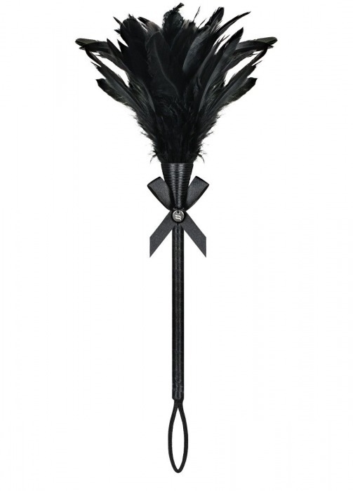 Перьевая щеточка - Obsessive купить с доставкой