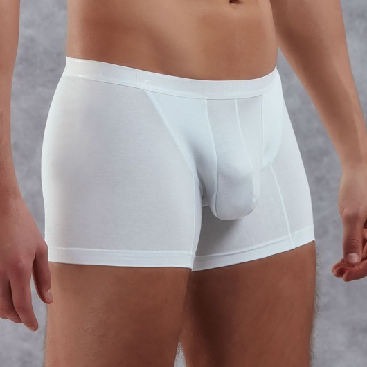 Боксеры из полупрозрачной хлопково-модальной ткани - Doreanse купить с доставкой