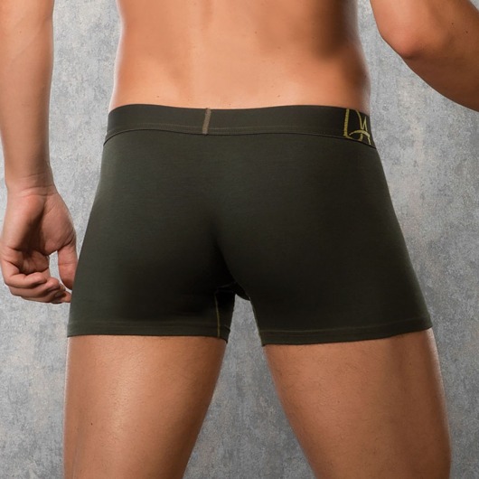 Боксеры с золотистыми контурными линиями - Doreanse купить с доставкой