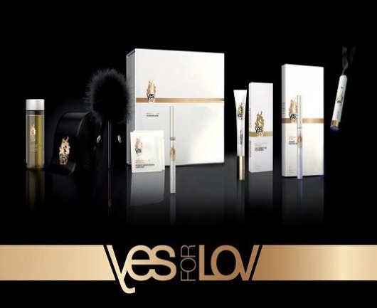 Эротический набор для шпионских игр Mission Irresistible Box - YESforLOV - купить с доставкой в Новосибирске