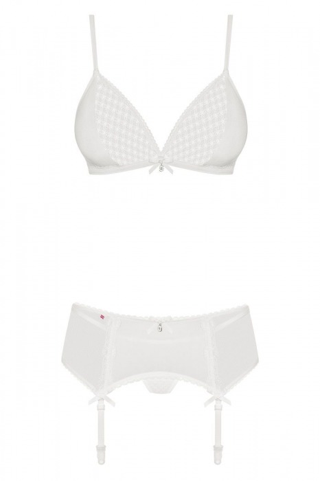 Нежный комплект с полупрозрачными деталями - Obsessive купить с доставкой