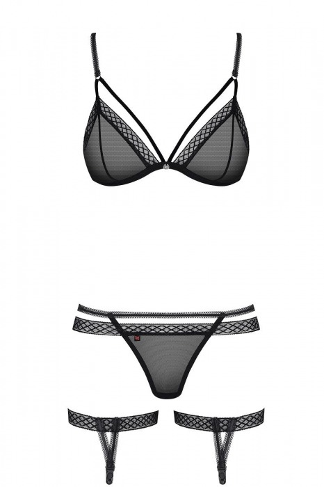 Игривый полупрозрачный комплект с гартерами - Obsessive купить с доставкой