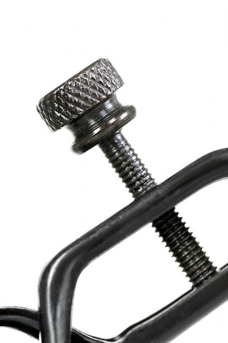 Черно-золотистые зажимы для сосков TOYFA Theatre - ToyFa - купить с доставкой в Новосибирске