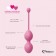 Набор из 3 розовых вагинальных шариков FemmeFit Advanced Pelvic Muscle Training Set - FeelzToys в Новосибирске Набор из 3 розовых вагинальных шариков FemmeFit Advanced Pelvic Muscle Training Set - FeelzToys