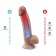 Телесный фаллоимитатор на присоске Silexd Premium Real Skin Model 1 8’’ - 20,5 см. - Adrien Lastic